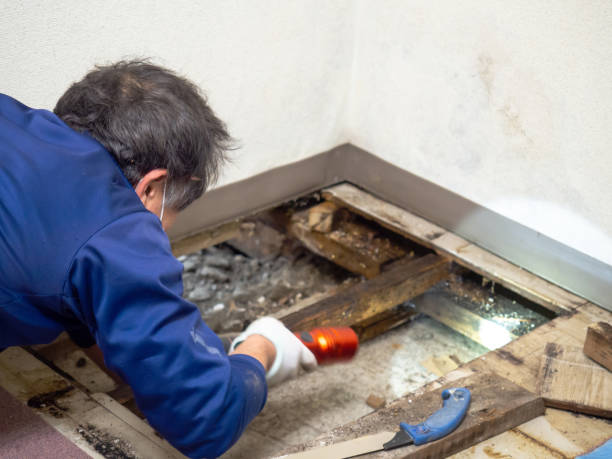 Best Mold Testing and Inspection Services in Marlin, TX