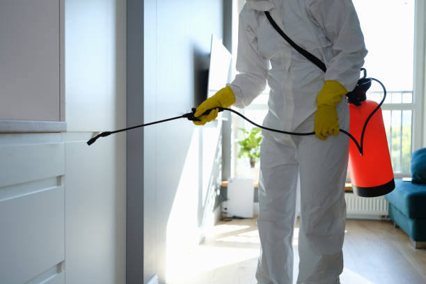 Best HVAC Mold Remediation in Marlin, TX