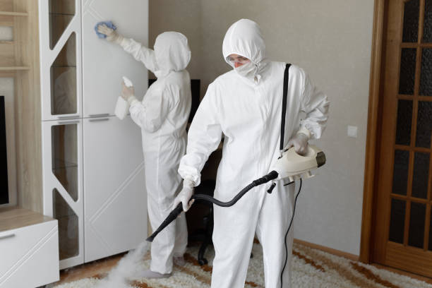 Best Commercial Mold Remediation in Marlin, TX