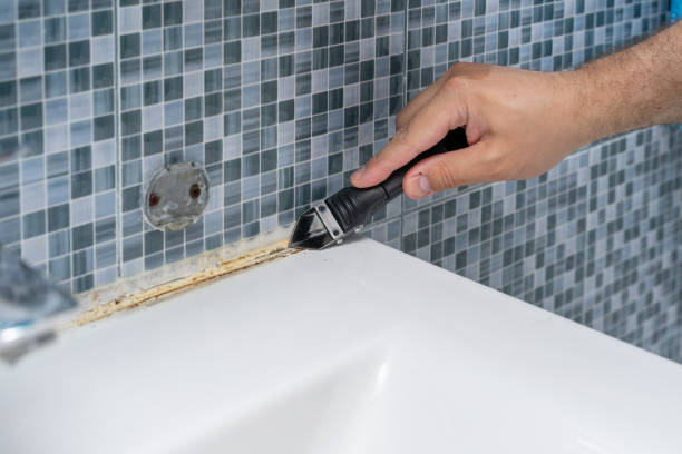 Reliable Marlin, TX Mold Remediation Solutions