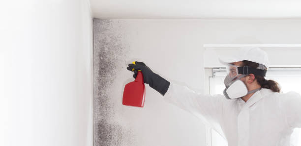 Best Kitchen Mold Remediation in Marlin, TX