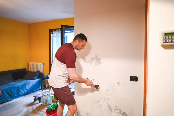 Best Black Mold Remediation in Marlin, TX
